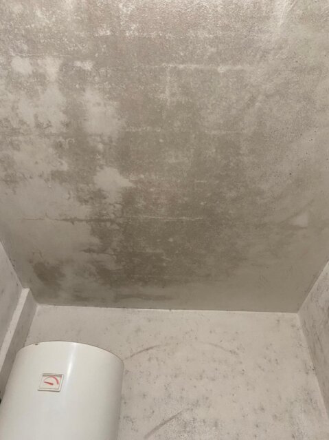 Affidati ad imbianchini specializzati contro la muffa a Firenze e provincia