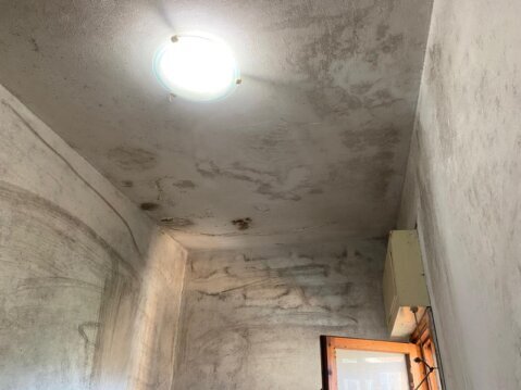 Affidati ad imbianchini specializzati contro la muffa a Firenze e provincia